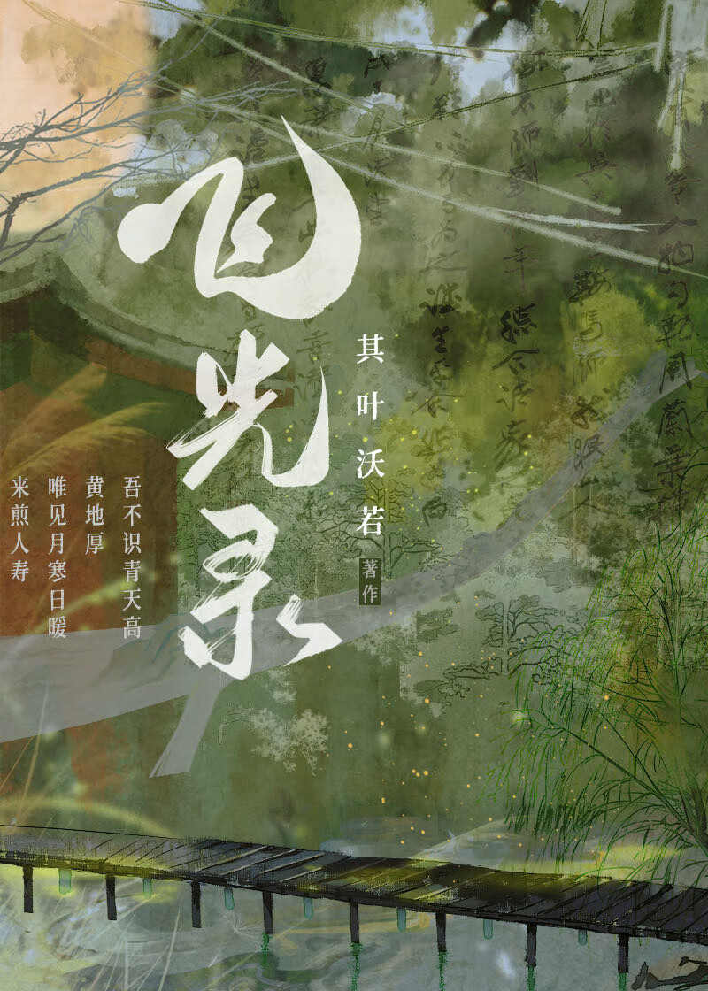 飞光录