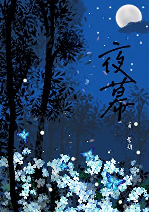 夜幕「文野太中」