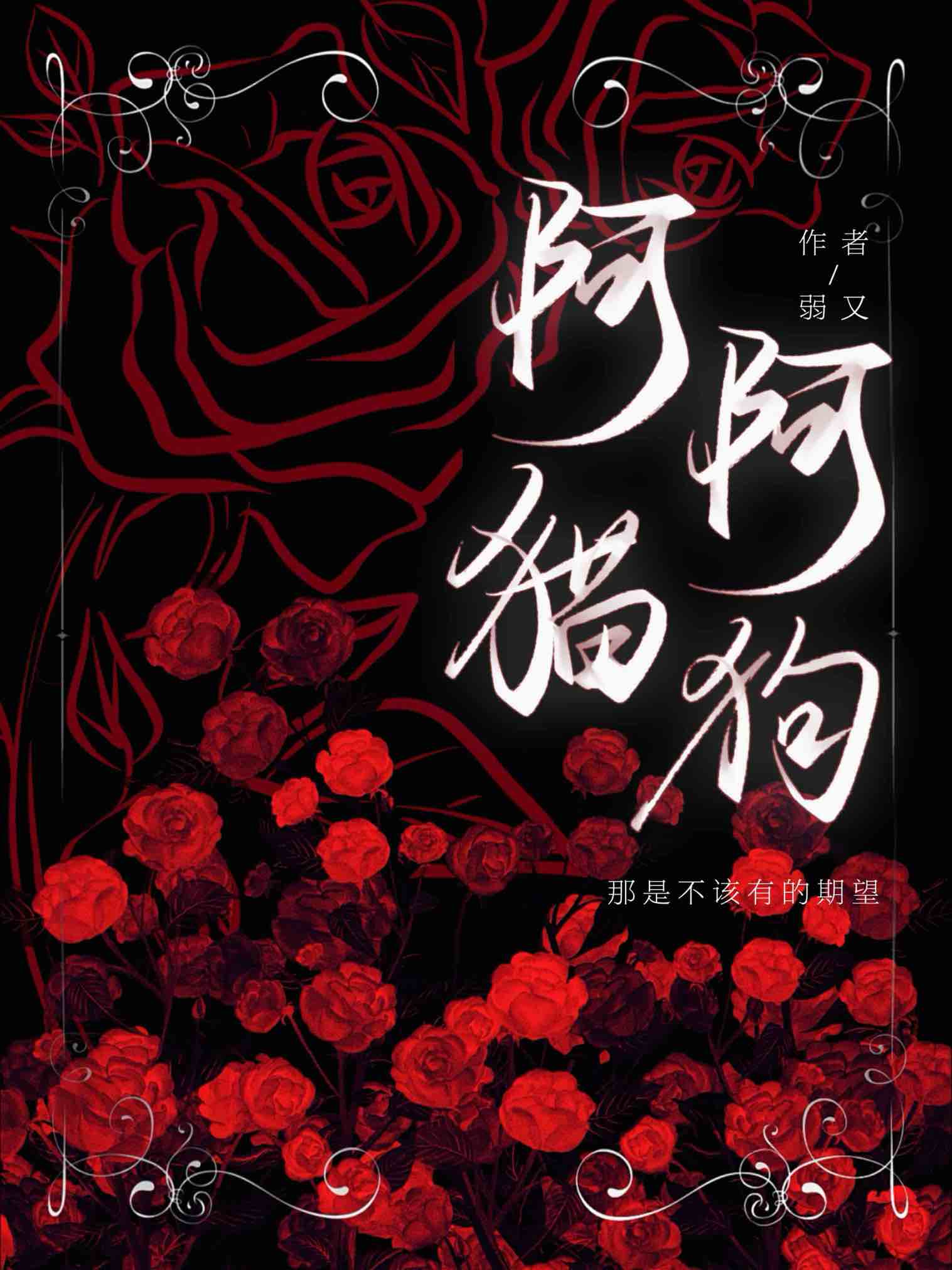 阿猫阿狗