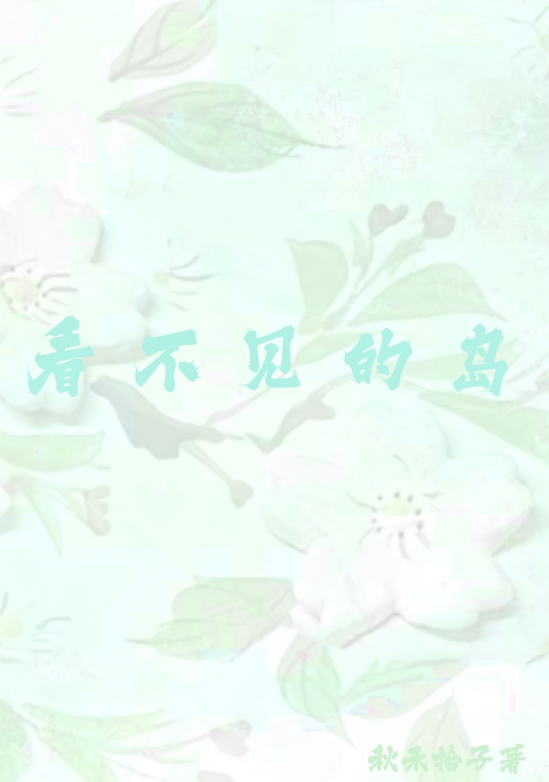 看不见的岛