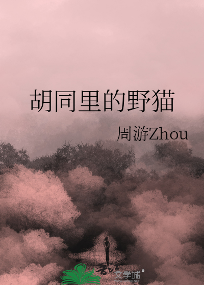 胡同里的野猫
