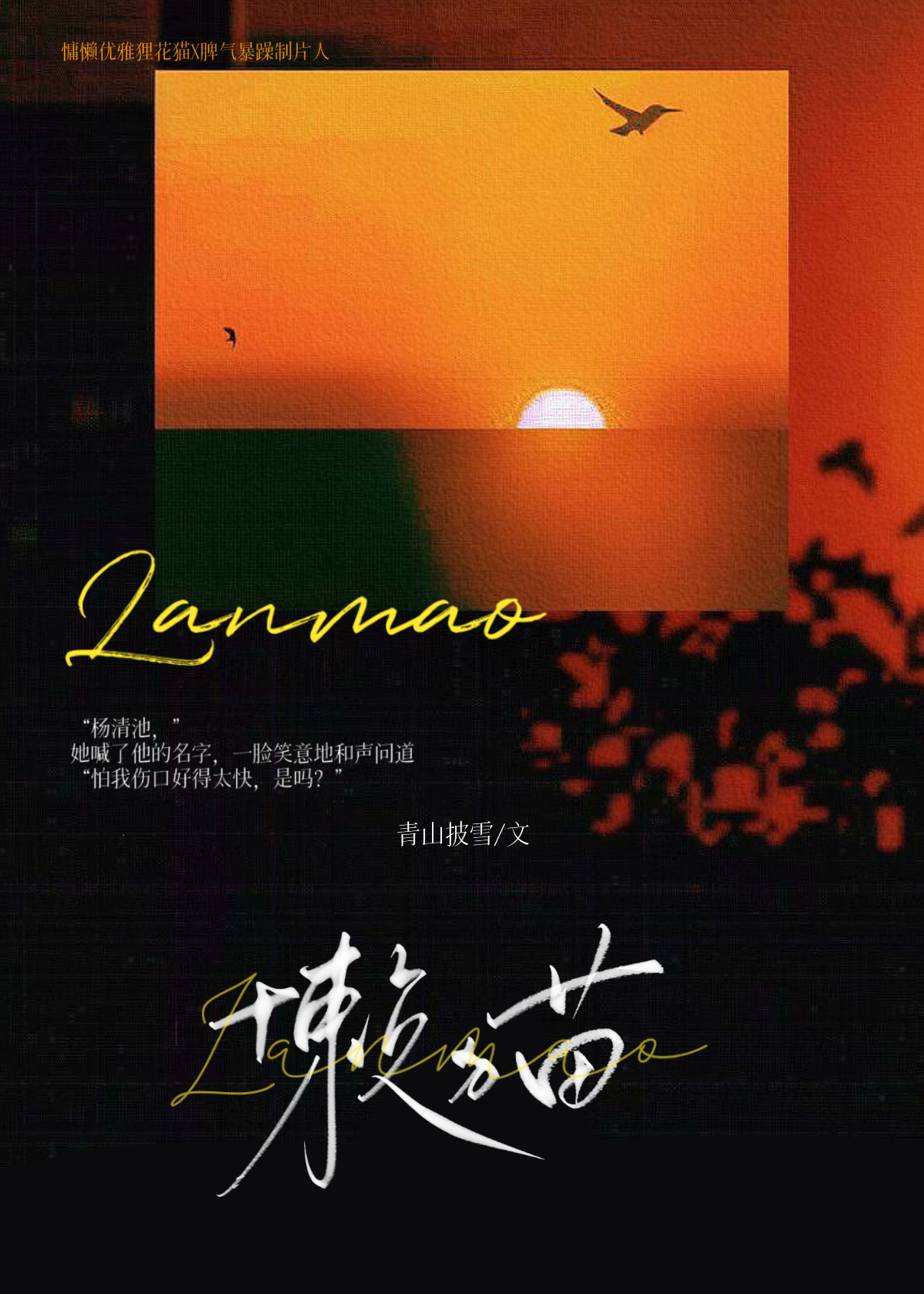 懒猫