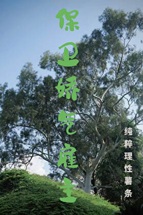 保卫娇气雇主