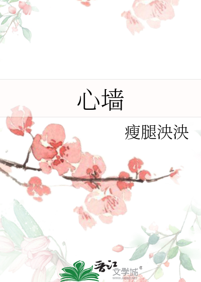 心墙