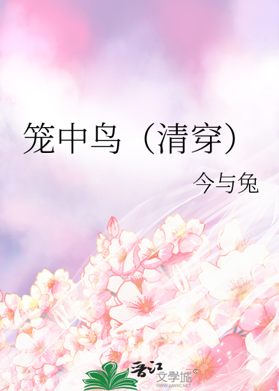笼中鸟（清穿）