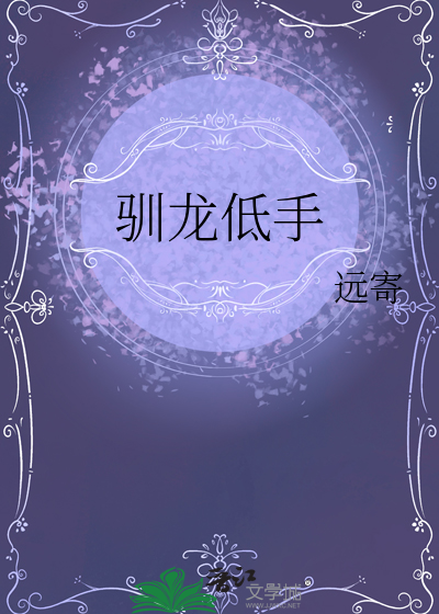 驯龙低手