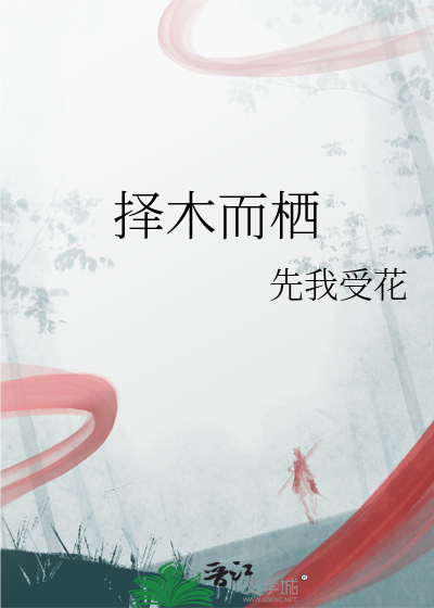 择木而栖