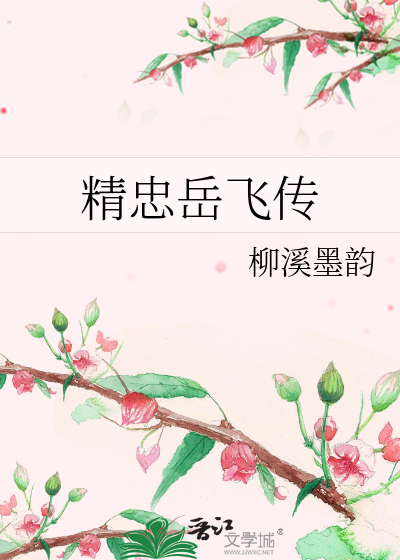 精忠岳飞传