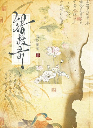 错枝录