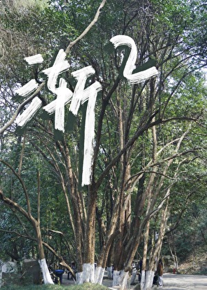 渐渐