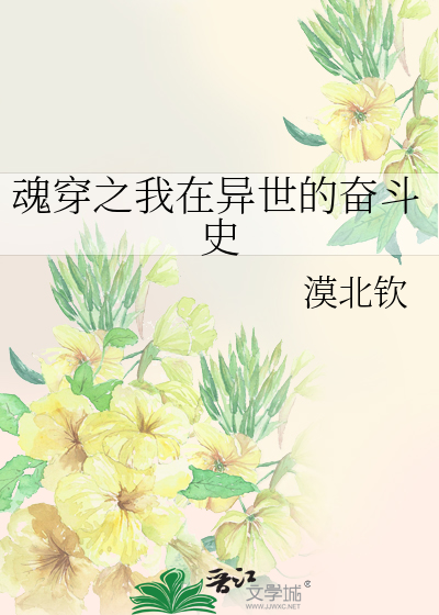 魂穿之我在异世的奋斗史