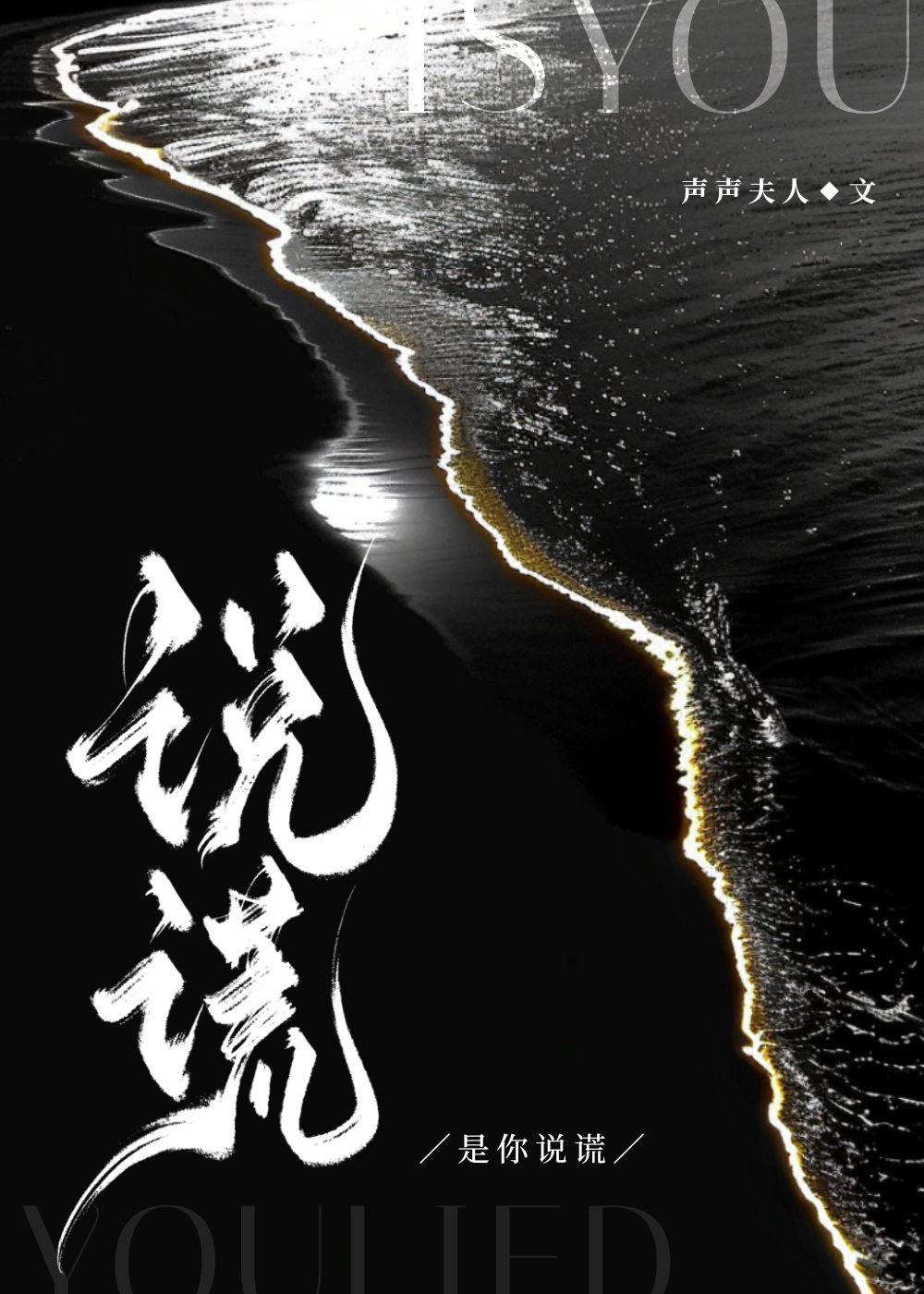 是你说谎