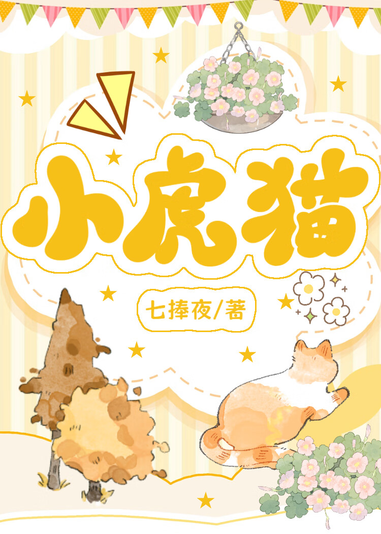 小虎猫