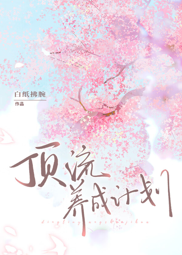 顶流养成计划