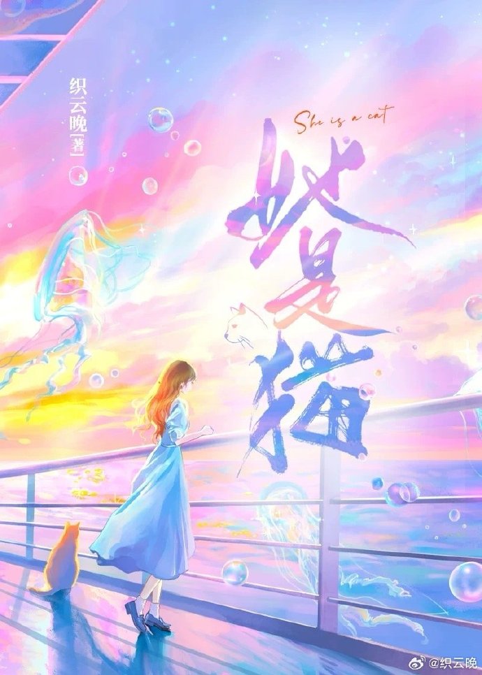 她是猫